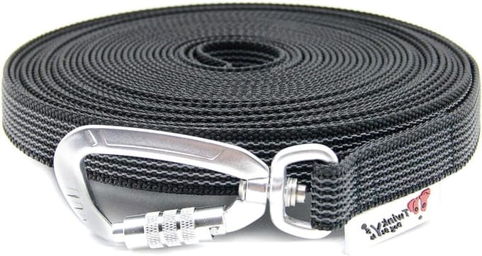 Hondenriem - Sleeplijn Trainingslijn - Hondentraining Buiten - Antislip Rubberdraad - 15 meter - Zwart
