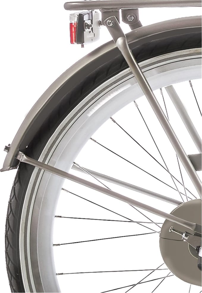 Alpina Spatbord set 26 Clubb gold met matt
