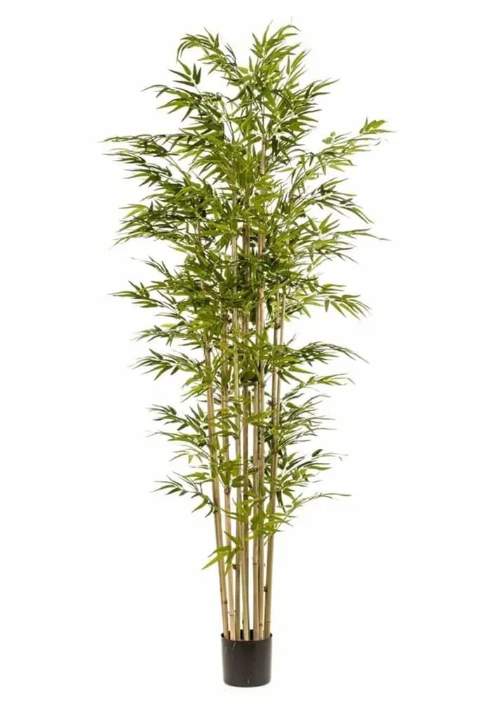 Emerald - Kunstplant Bamboe Deluxe 235cm - Kunstplant voor binnen