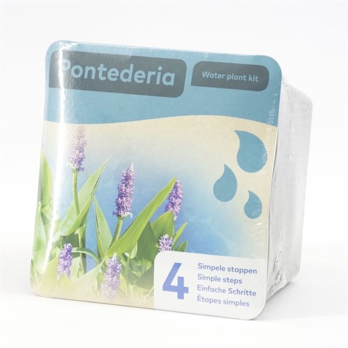 Moerings Droogverpakking Vijverplant Pontederia