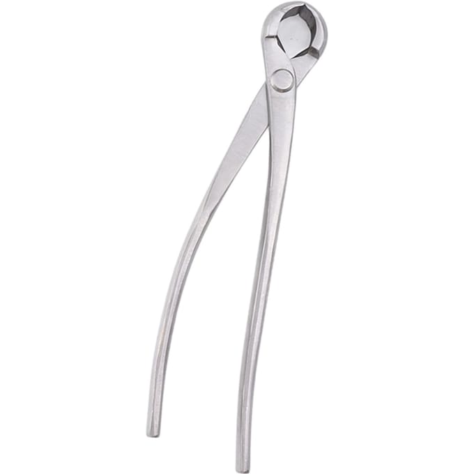 Pince Concave Alliage de Chrome Argent Bonsaï Pince Concave à Branches Durable Jardinage white