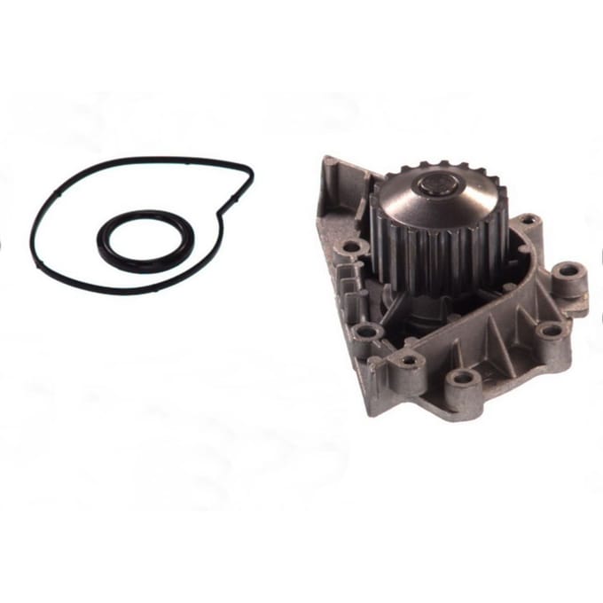 Waterpomp THERMOTEC D1P042TT