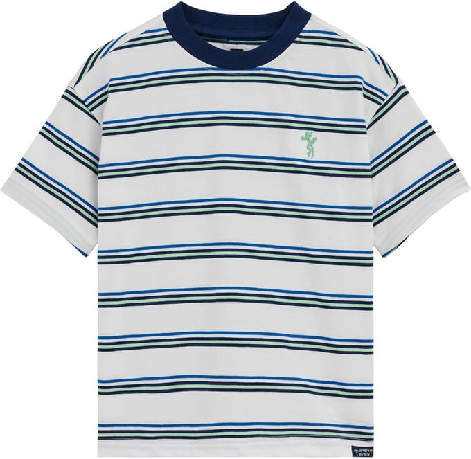 WE Fashion Jongens T-shirt met streep