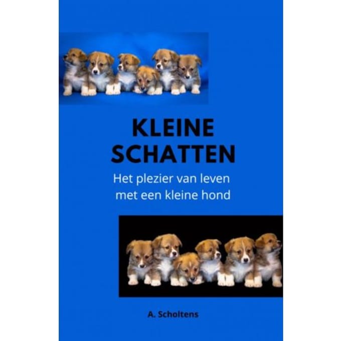 Kleine Schatten - A. Scholtens