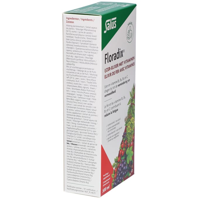 Salus Floradix IJzer-elixir – Bij vermoeidheid – Voedingssupplement met ijzer en vitamine B12 – 500 ml