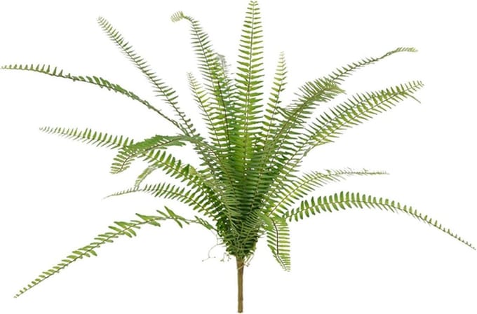 Asplenium Varen kunstplant 75cm