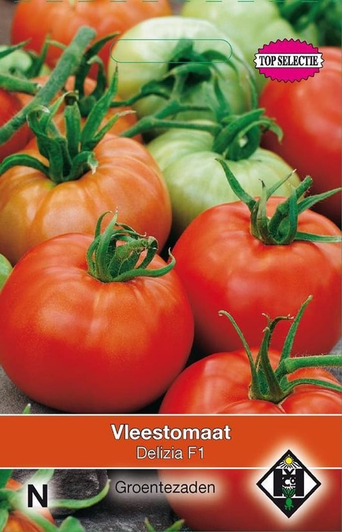 Van Hemert - Vleestomaat Delizia F1