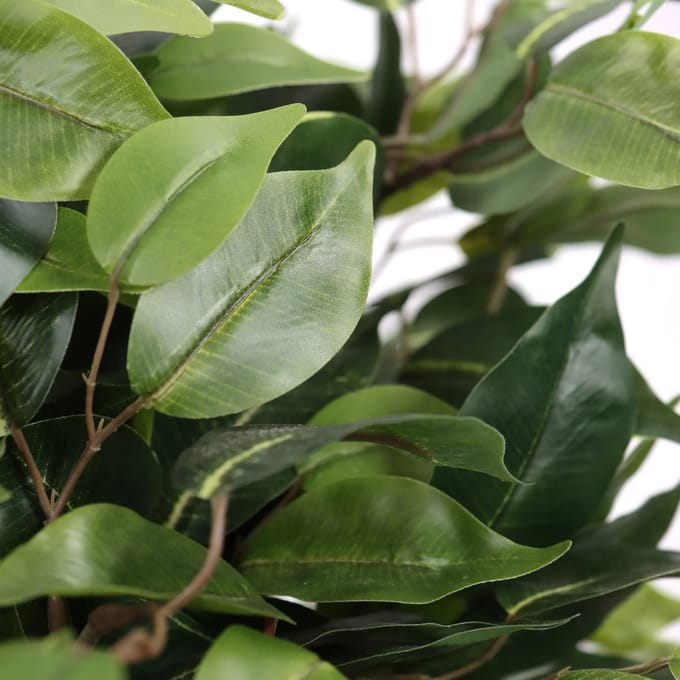 Kunstplant / kunstboom FICUS II 65 cm groen hjh OFFICE