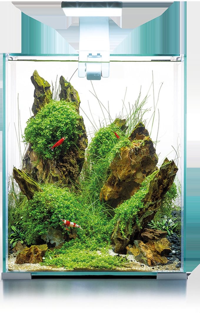 Aquael Shrimp Set Dag & Nacht 20 | 19L | 25 x 25 x 30CM Wit