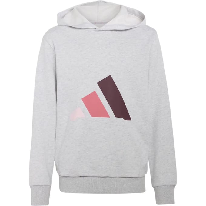 Adidas Essentials Hoodie Grijs 15-16 Years Kinderen