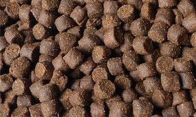Steurvoer uitgebalanceerd 8mm. 20kg. 44% hoogwaardige eiwitten