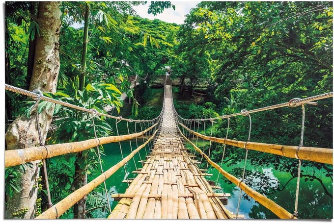 Poster Jungle Bridge - 61 x 91,5 - Papier - REINDERS