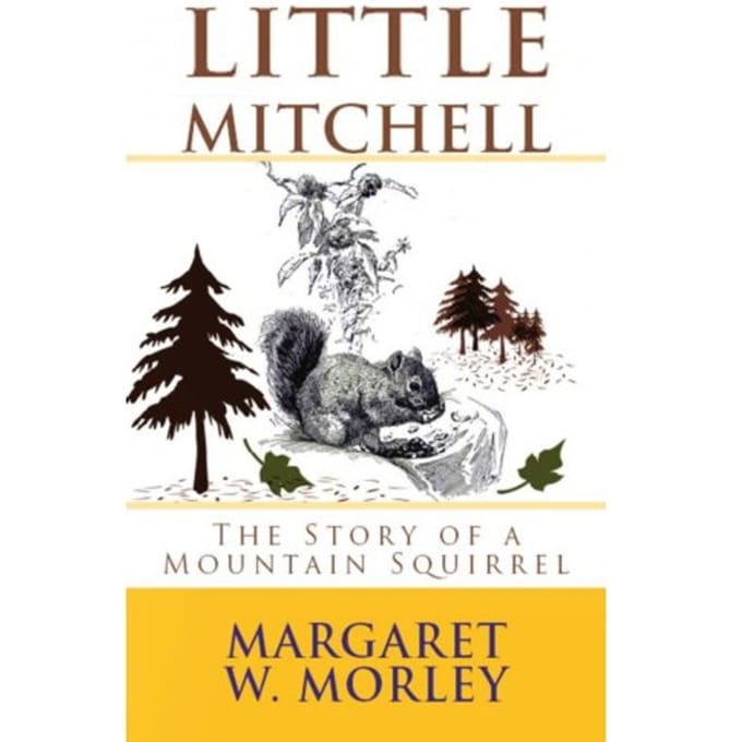 Little Mitchell - Margaret W. Morley