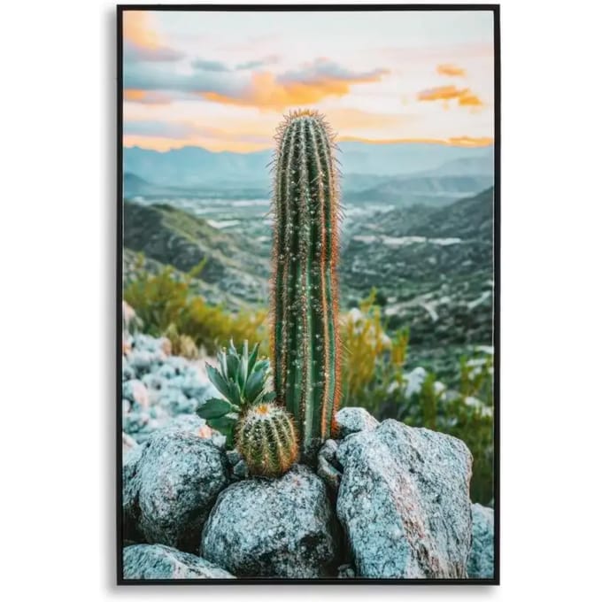 Muurdecoratie afdruk op ster met cactuslijst A Mauro Ferretti Laccata