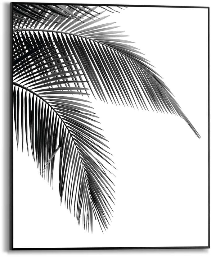 Schilderij Palm - 50 x 40 - Hout - REINDERS