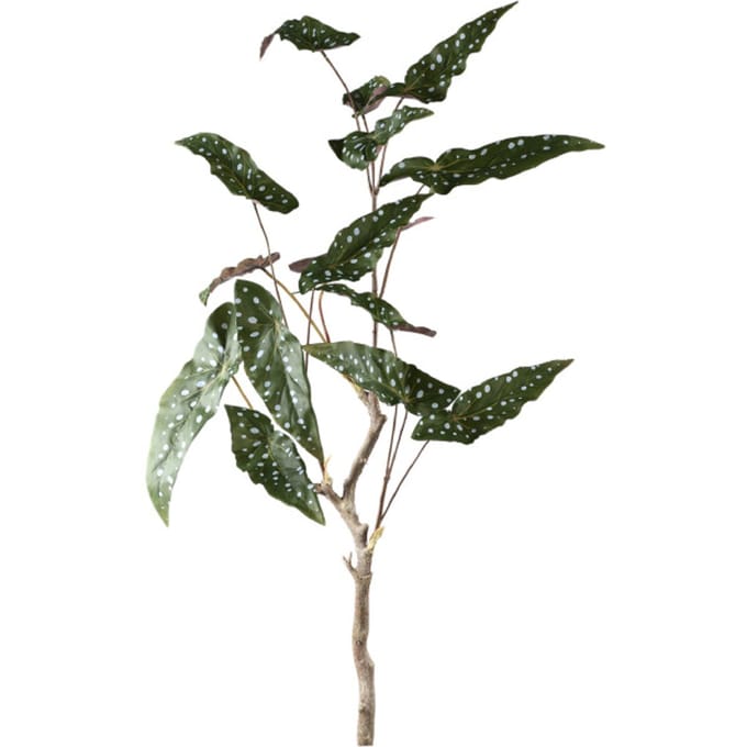 PTMD Kunstplant Begonia - 70x60x94 cm - Polyester - Groen