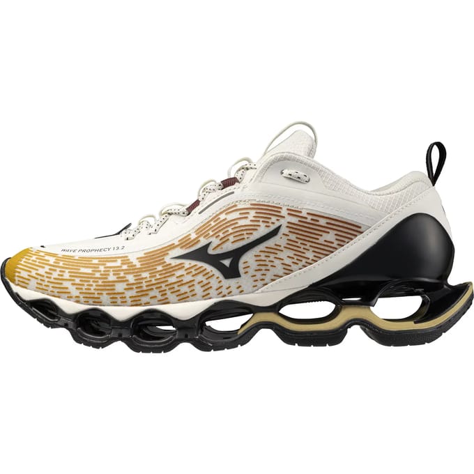 Baskets Mizuno Wave Prophecy 13.2