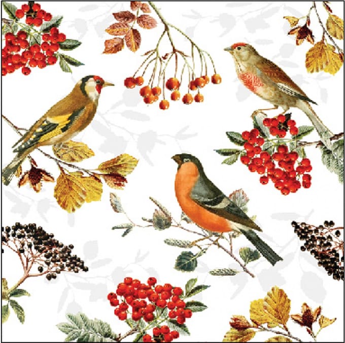 Ambiente - Servetten - 25 x 25 cm - Autumn Birds