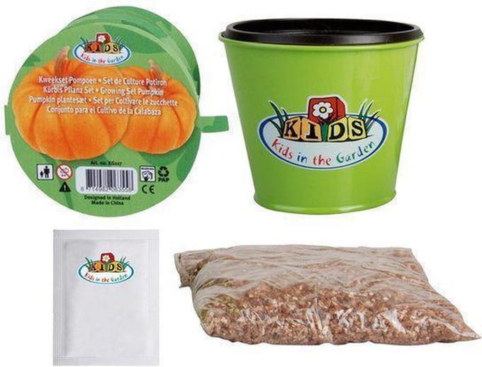 Kweekset Pompoen