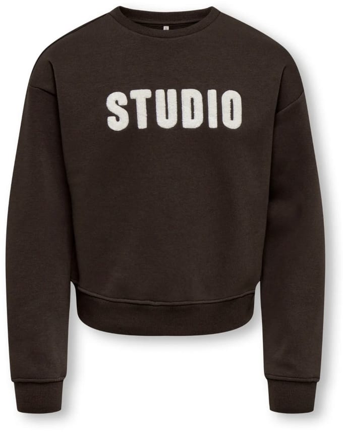 ONLY- KOGSWEAT LS CREW OVZ STAT SWT NOOS - Heren - Sweatshirt