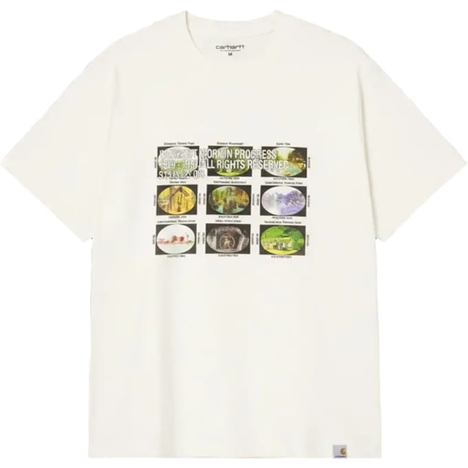 Carhartt Coordinates T-shirt Wit