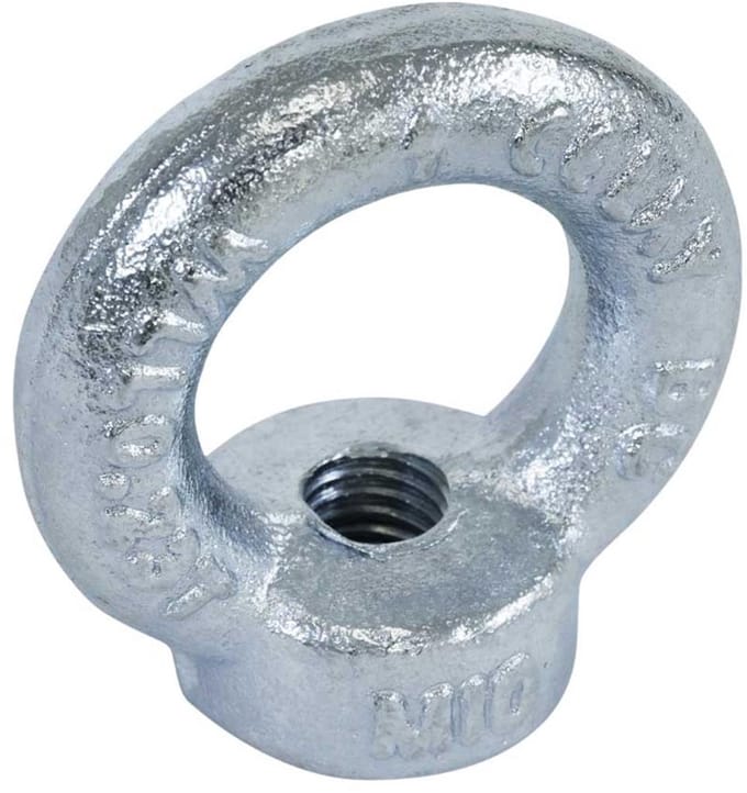 Oogmoer M16 - Verzinkt - DIN 582 (10 stuks)