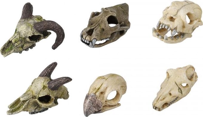 Auqa Della Skullmini assortiment 7-10CM, LET OP PRIJS PER 1 STUKS ! GEEN KEUZE MOGELIJK !!