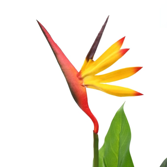 Kunstmatige Strelitzia Reginae Paradijsvogelbloem 66 cm