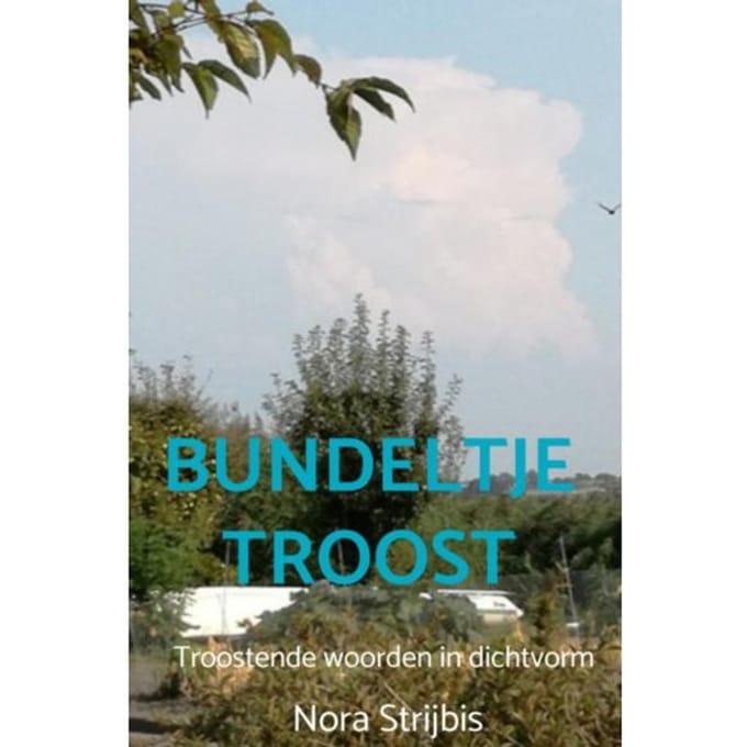 Bundeltje Troost - Nora Strijbis