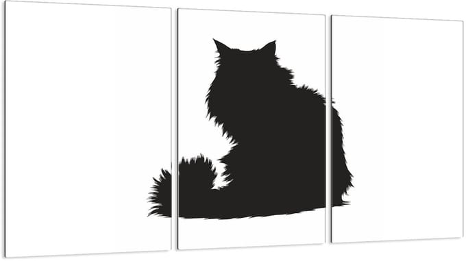 TMK ArtDeko - Glazen Beschermplaat - 30x52 cm - Gehard Glas - Antibacterieel