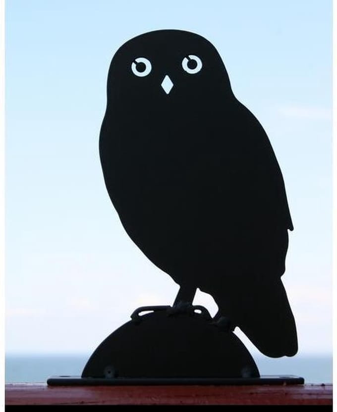 Wildlife Garden - Silhouet Steenuil - Roestvrij Metaal