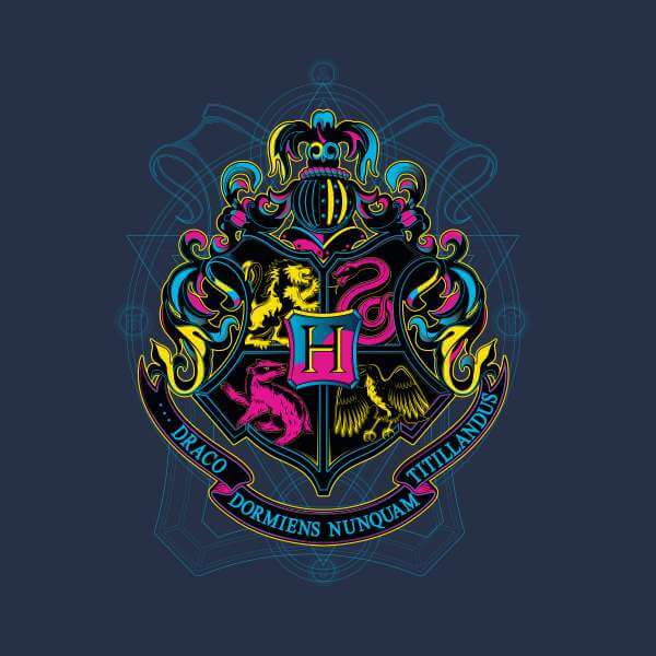 Harry Potter Hogwarts Neon Crest Hoodie - Navy - S