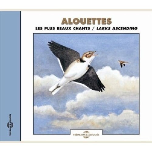 Alouettes. Les Plus Beaux Chants - Larks Ascending - Sons De La Nature
