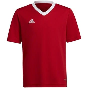 Adidas Entrada 22 SS Shirt Junior - Maat 140