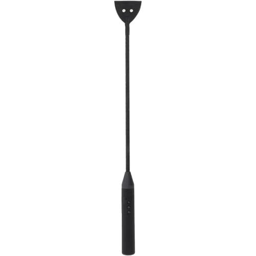 Hidden Desire Extreme Elektro Riding Crop