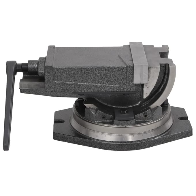 vidaXL - Bankschroef - met - 2 - assen - kantelbaar - 160 - mm