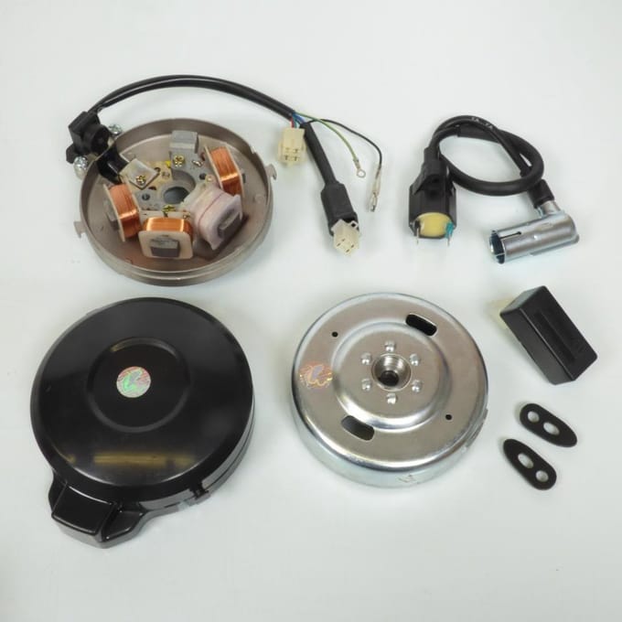 Stator rotor d allumage Blackbird pour Auto Neuf