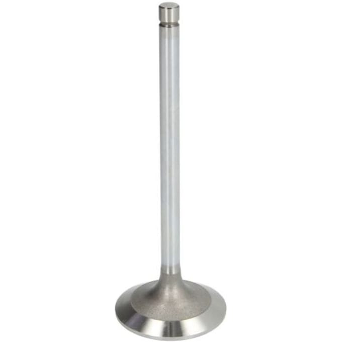 Inlaatklep TRW 105-35650
