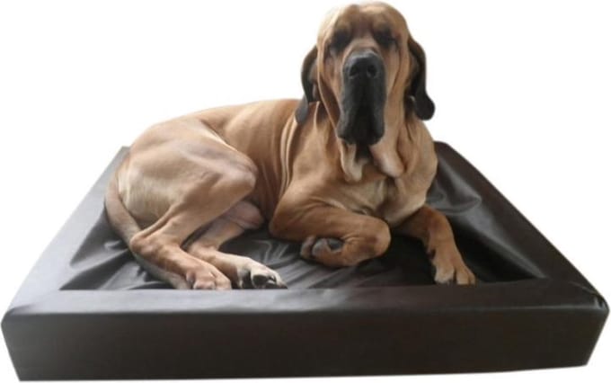 Topmast Loungebed Hondenkussen Leatherlook Zwart  60x50cm