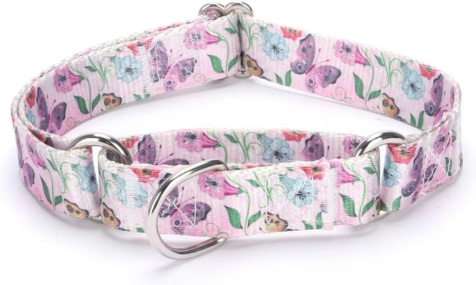 Verstelbare Nylon Martingale Halsband - Heavy Duty voor Honden (XL: 53-62 cm)
