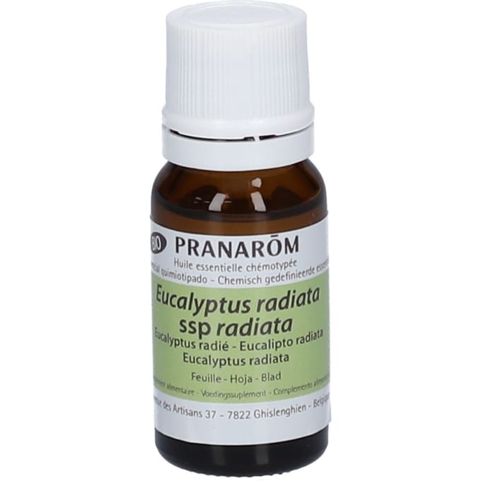 Pranarôm Etherische Olie Eucalyptus Radiata Bio | Luchtwegen 10 olie