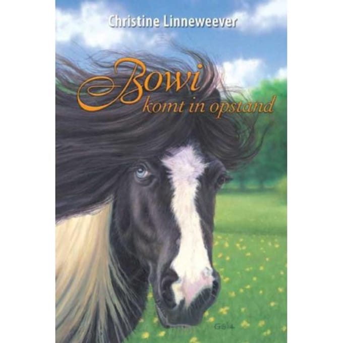 Bowi - Gouden Paarden - Christine Linneweever
