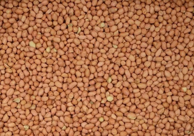 Wielink Pinda’s gepeld voor duiven 2,5KG