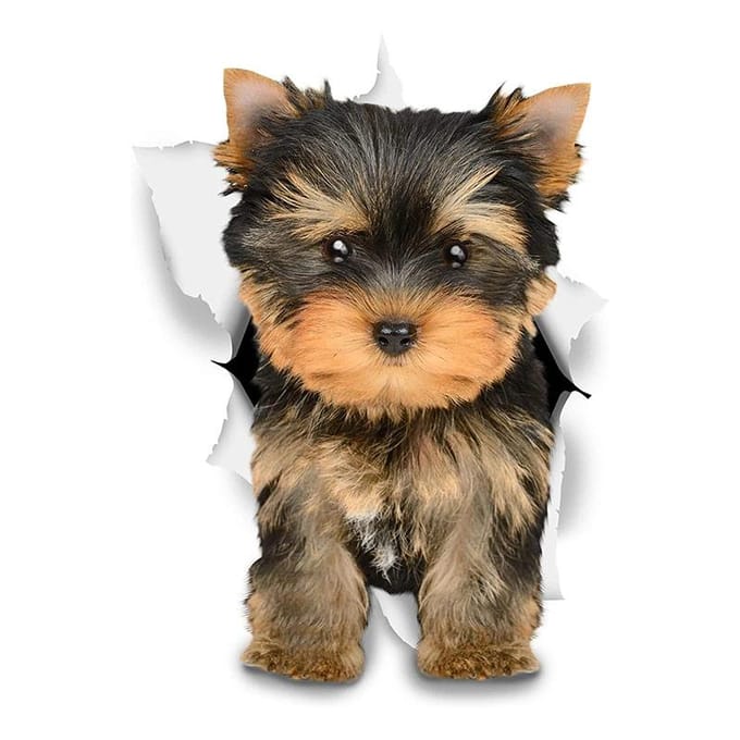 Vinyl Sticker Leuke Yorkshire Terriër Hond Auto Sticker Waterdicht Op Bumper Achterruit 12CM black