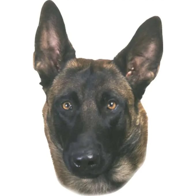 Sticker Nobby Pet Malinois