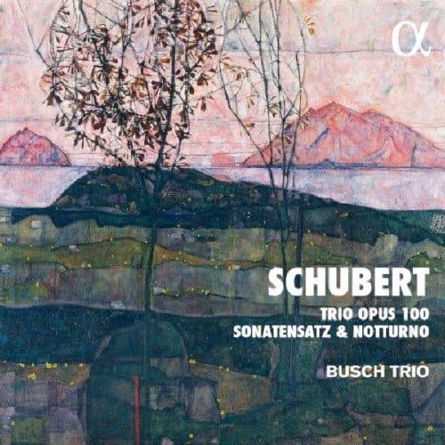 Busch Trio - Schubert: Trio Opus 100, Sonatensatz & Notturno (CD)