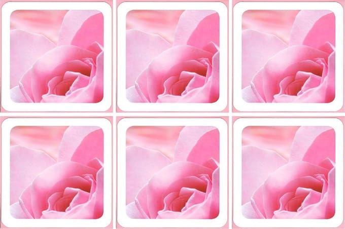 6 Wenskaarten met envelop - Vierkant - Blanco - Bloemen - Gekleurde envelop - 16 x 16 cm