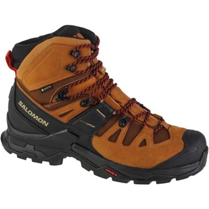 Wandelschoenen Salomon Quest 4 Gtx
