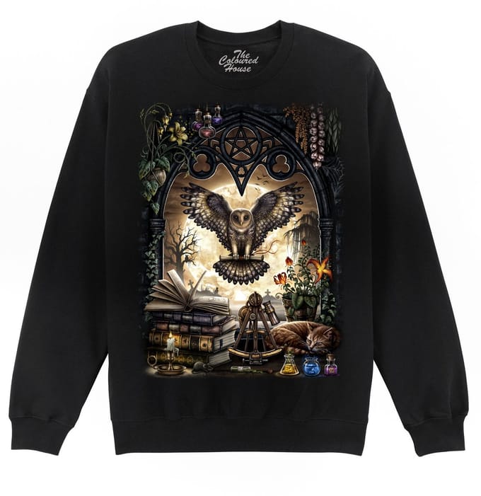 Uil The Messenger The Coloured House Sweater S