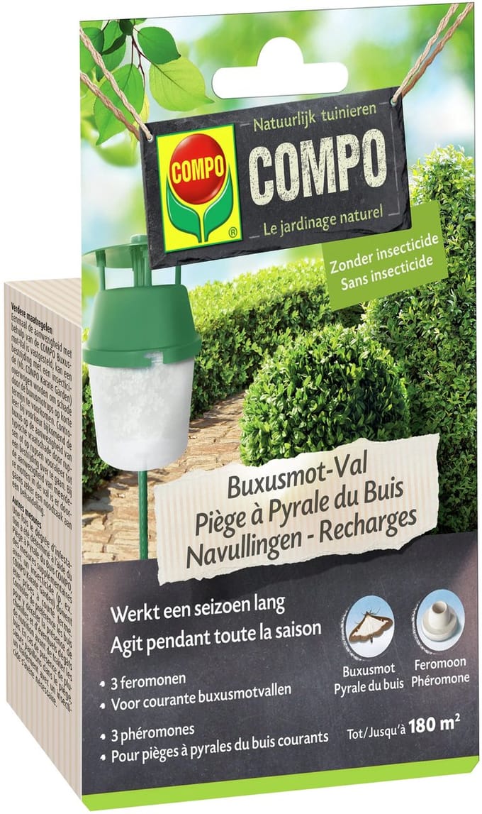 COMPO Buxusmotval Navullingen - feromonen - 3 stuks